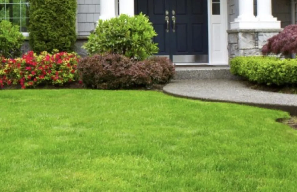 Local yard maintenance in Havana, FL by Wade Kelly's Lawn Care