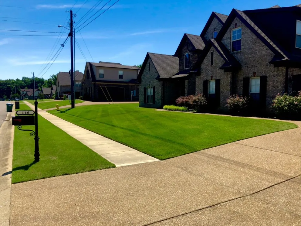 Custom yard cleanup service with custom design in Brighton, TN by Wade Lawn and Landscape