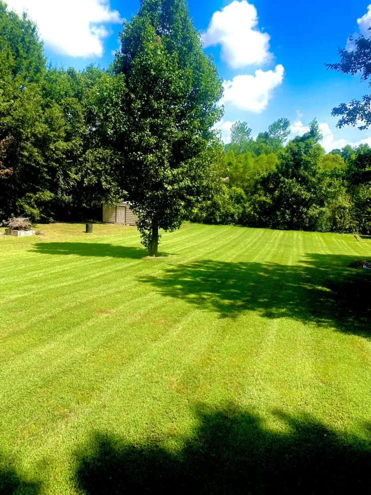 Expert landscape design in Brighton, TN - Wade Lawn and Landscape