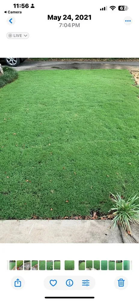 Reliable landscape installation experts serving Atmore, AL - Wade Lawn Care & Aerial Services