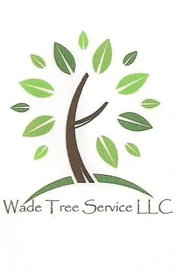 Local outdoor landscaping in Oxford, IA - Wade Tree Service
