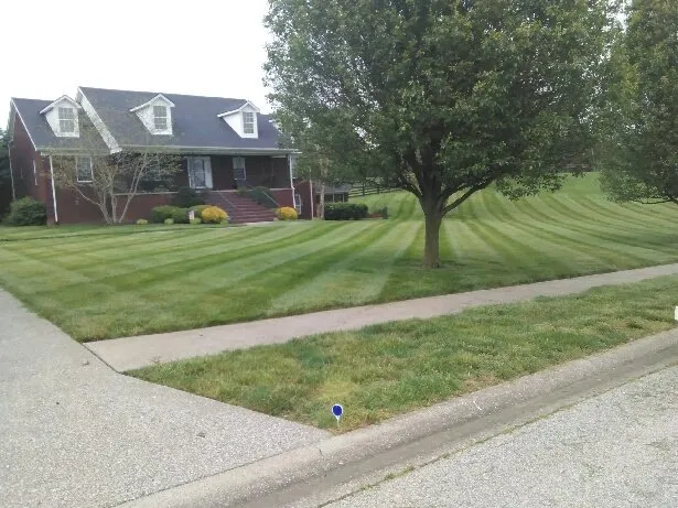 Custom yard maintenance in Richmond, KY - Wades Blades Lawn & Landscape