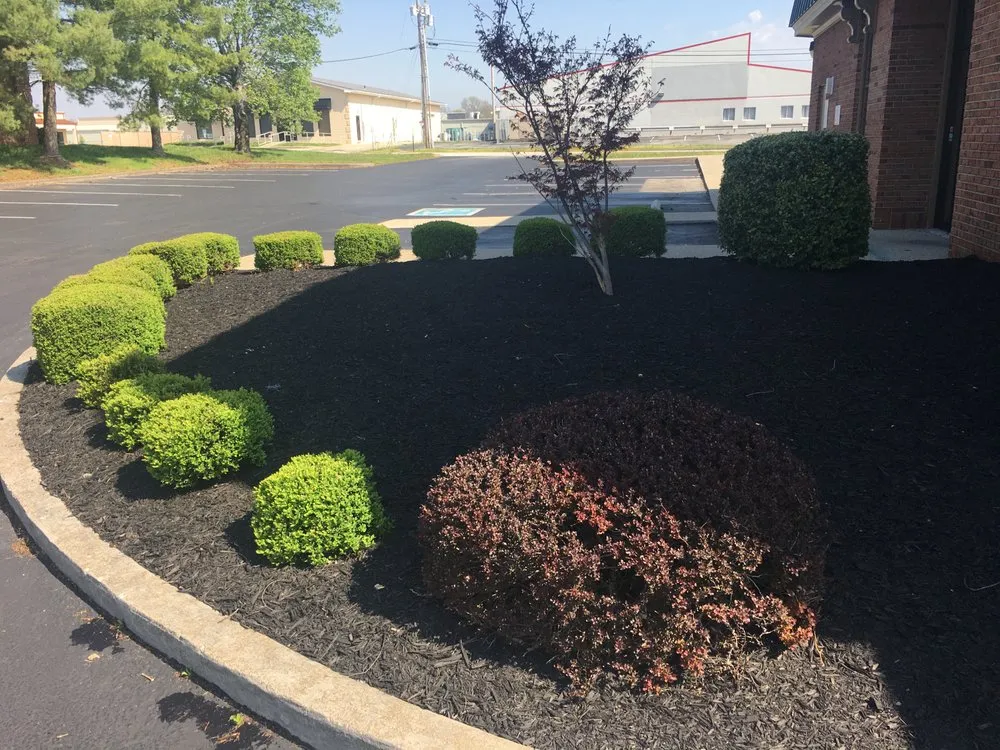 Expert yard maintenance in Richmond, KY by Wades Blades Lawn & Landscape