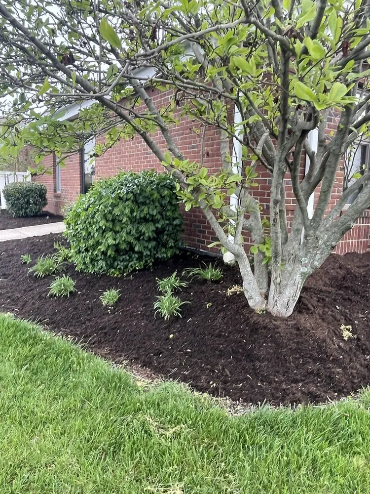 Top-rated lawn care service in Richmond, KY by Wades Blades Lawn & Landscape