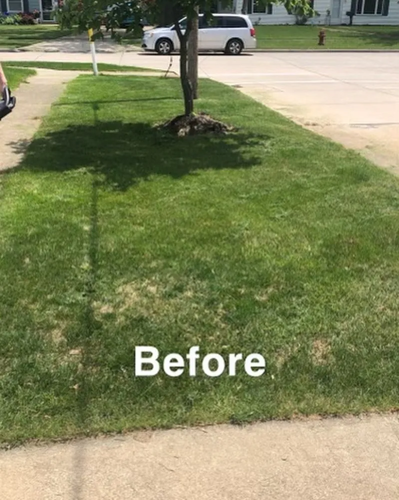 Affordable landscaping services in Medina, OH - Wades Lawn Care