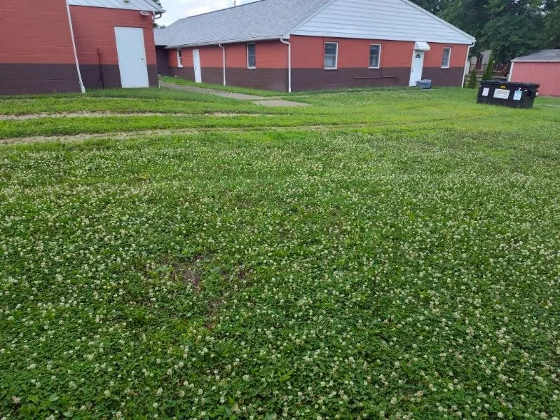 Professional yard cleanup service in Medina, OH by Wades Lawn Care