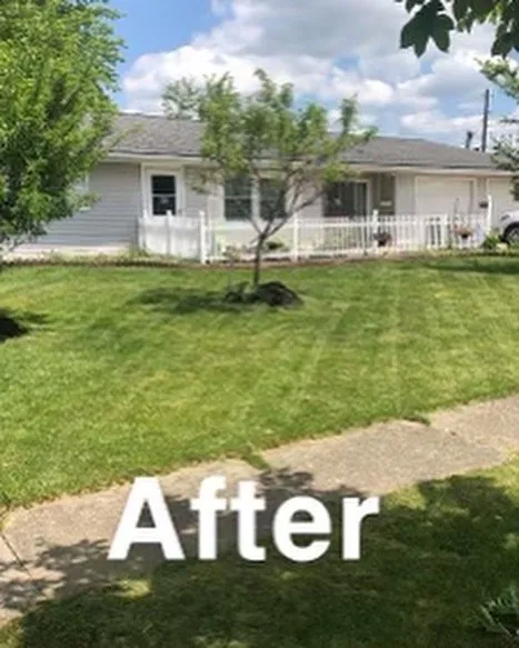 Trusted landscaping services experts serving Medina, OH - Wades Lawn Care