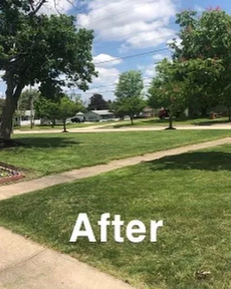 Affordable yard maintenance for homes across Medina, OH - Wades Lawn Care