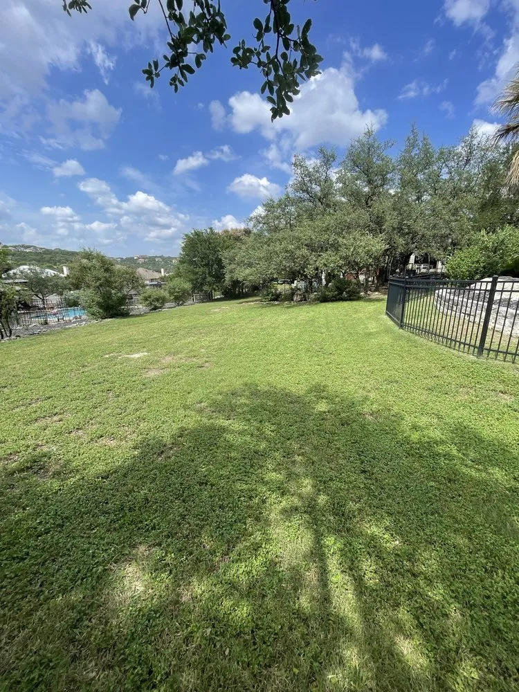 Professional yard maintenance in Boerne, TX by Wades Lawn Service