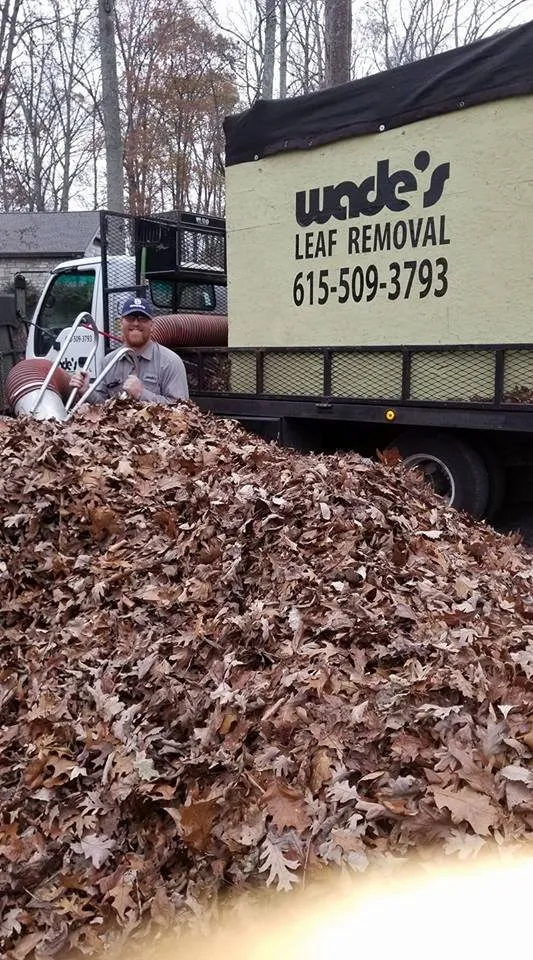 Affordable landscape design for residential properties in Goodlettsville, TN by Wade's Lawn Service