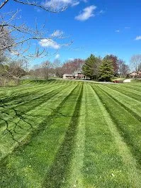 Local yard maintenance experts serving Shiloh, IL - Wade's Reliable Lawncare