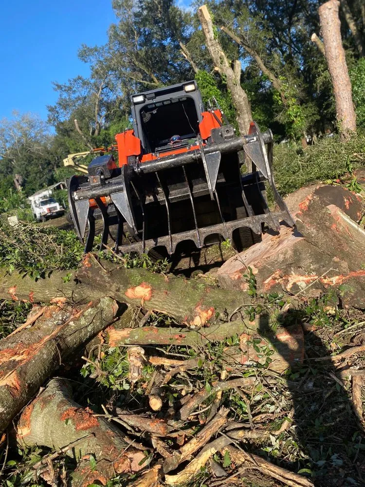 Affordable yard cleanup service in Plant City, FL by Wade's Tree Service