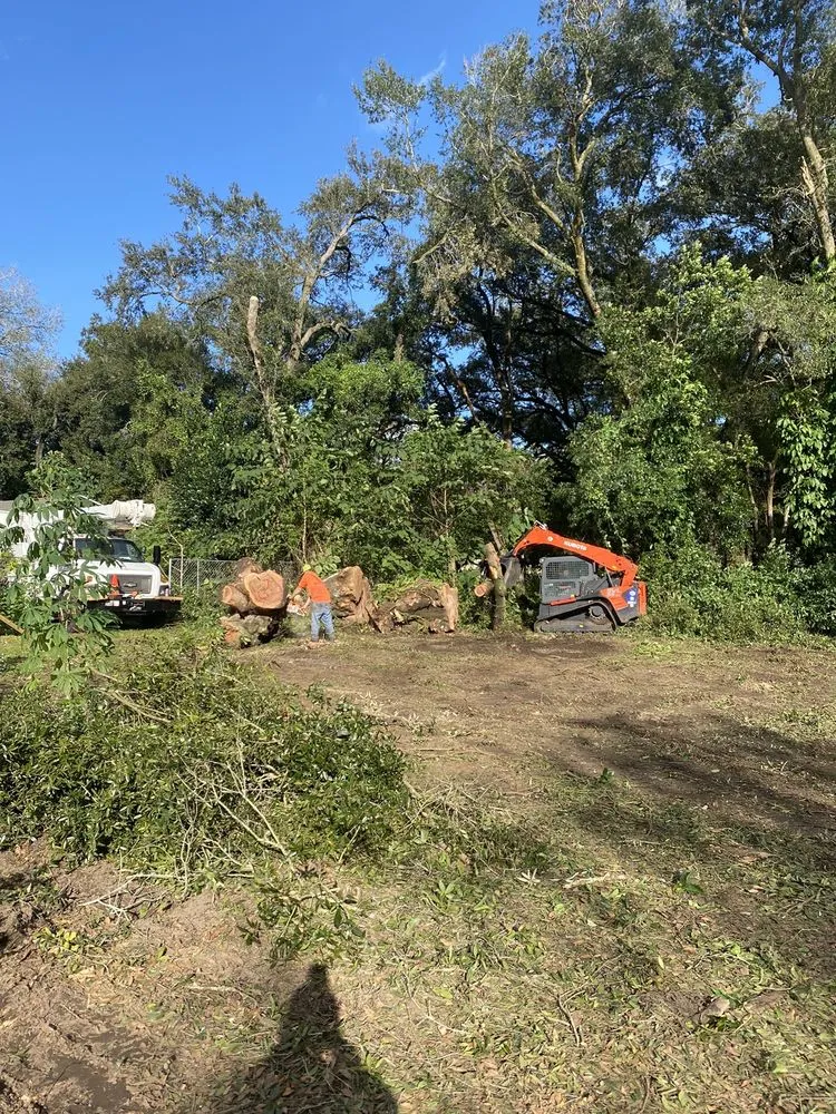 Affordable landscape design in Plant City, FL by Wade's Tree Service