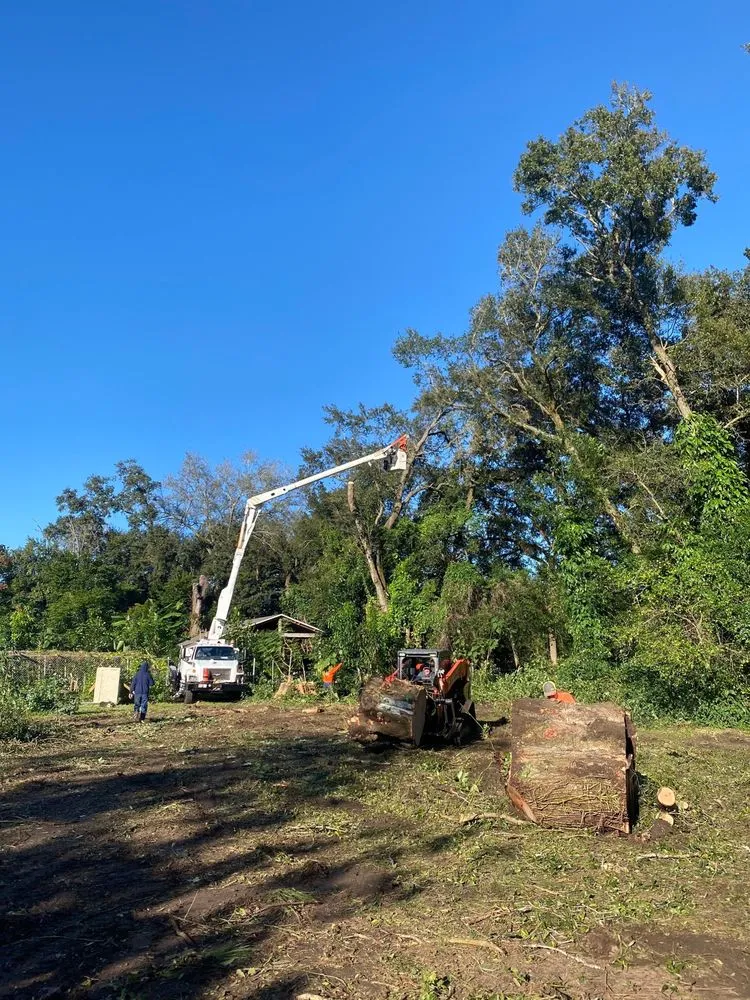 Trusted lawn care service experts serving Plant City, FL - Wade's Tree Service