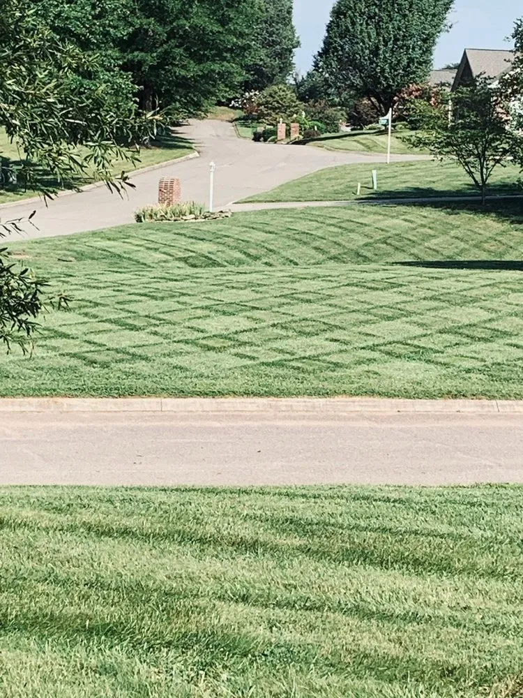 Reliable landscaping services in Clinton, TN - Wadescapes