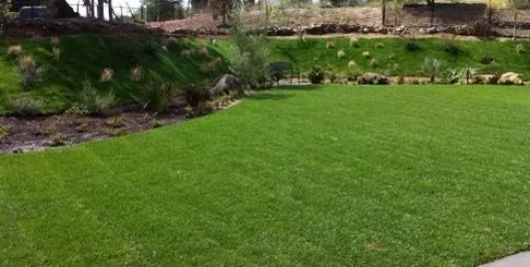 Trusted yard cleanup service for beautiful yards across Cocoa, FL - Wagner Bros Lawn Care