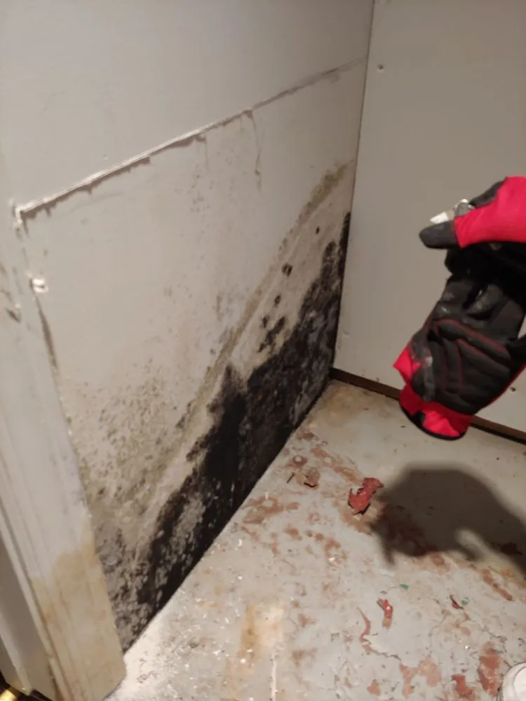 Professional landscape design in Bethel Park, PA - Wagner Home Services