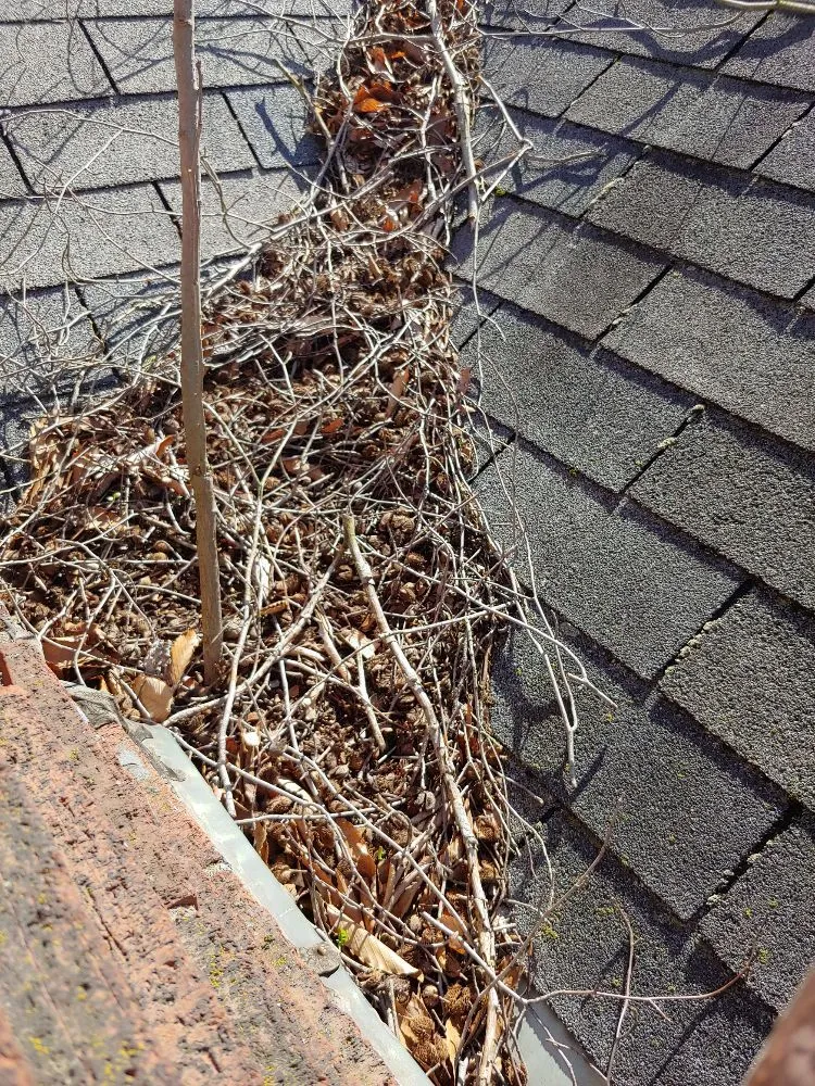 Expert landscape installation for beautiful yards across Bethel Park, PA - Wagner Home Services