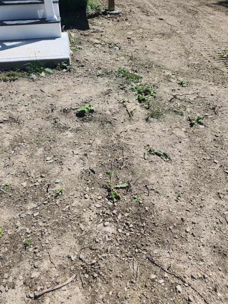 Affordable yard maintenance in Middletown, NY - Wagner Landscaping