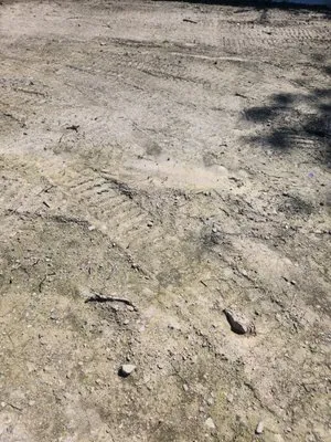 Wagner Landscaping Logo