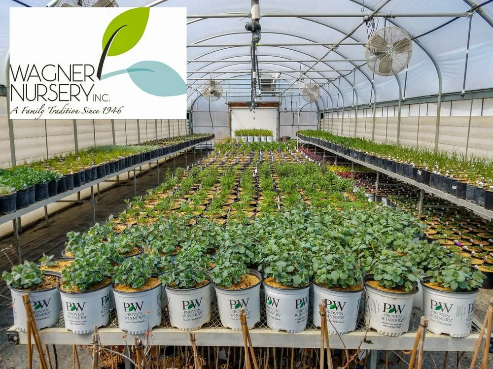 Professional lawn care service for beautiful yards across Asbury, IA - Wagner Nursery