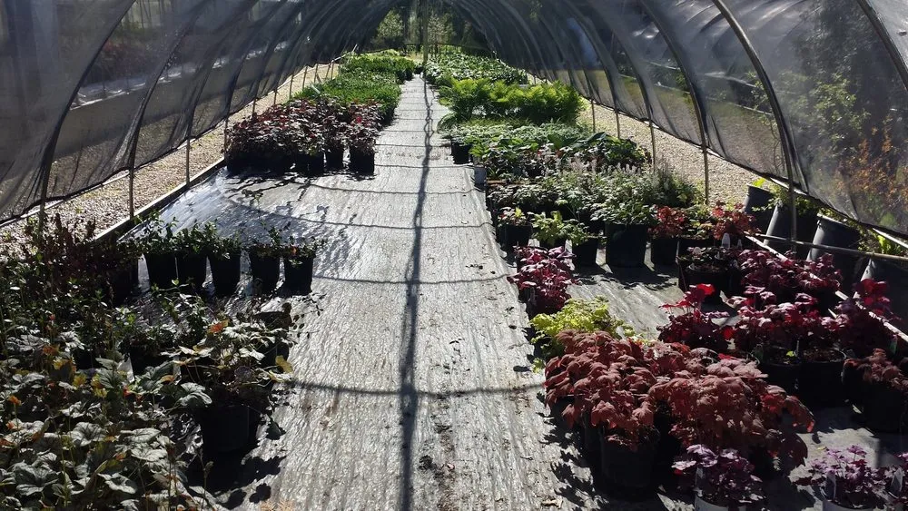 Reliable lawn care service experts serving Asbury, IA - Wagner Nursery