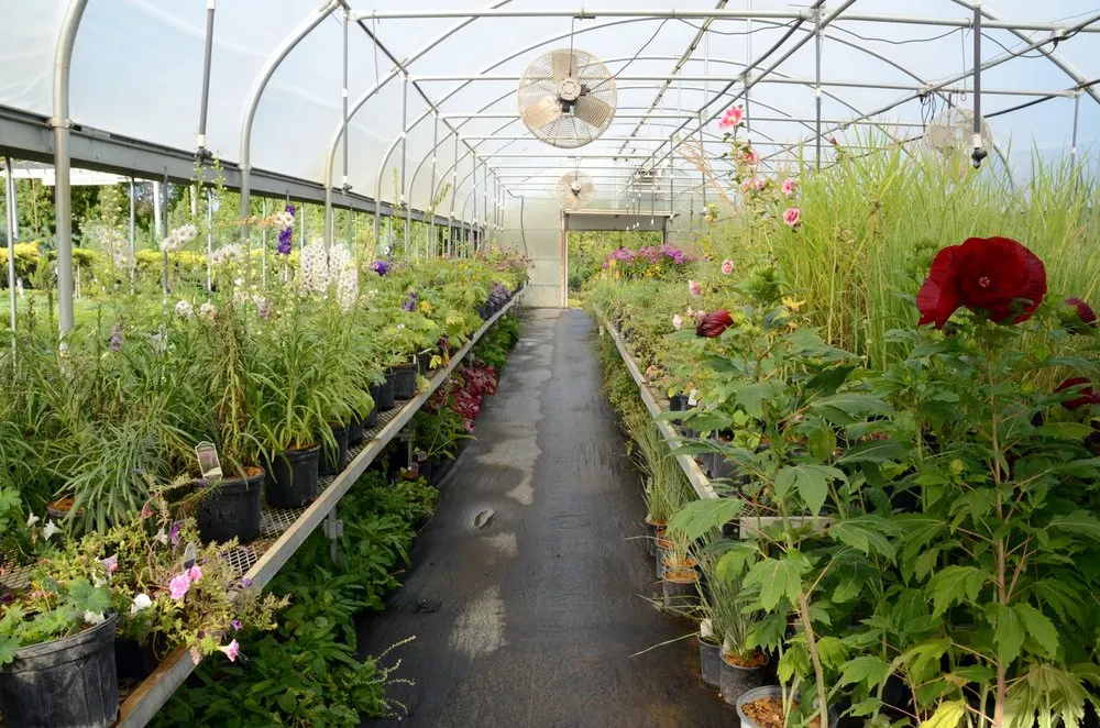 Top-rated yard maintenance in Asbury, IA - Wagner Nursery
