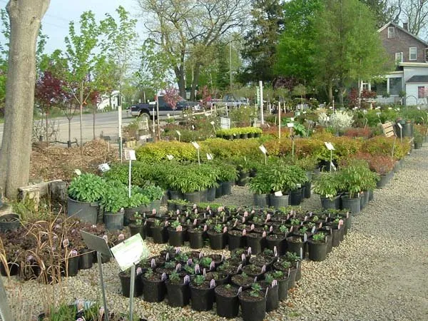 Local residential landscaping in Asbury, IA by Wagner Nursery