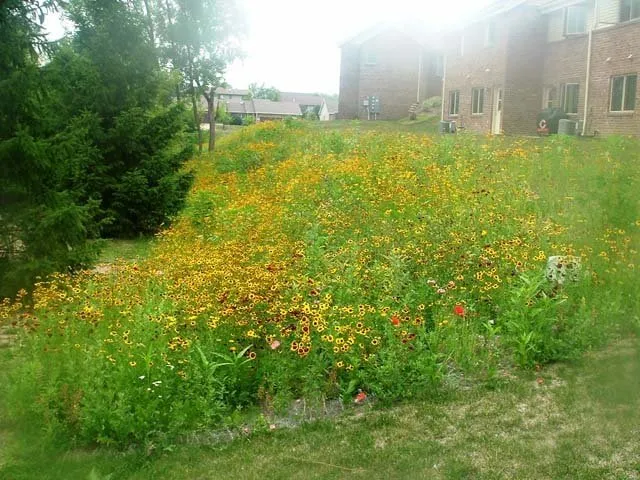 Professional garden landscaping with custom design in Asbury, IA by Wagner Nursery