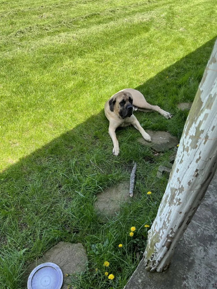 Professional landscape design in Machesney Park, IL by Wagners Lawn Service