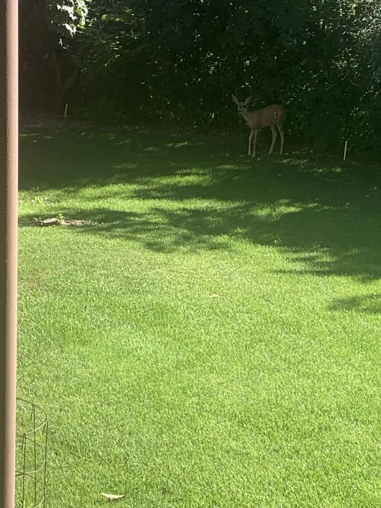 Local residential landscaping in Farmington, UT - Wagstaff Lawn and Transport