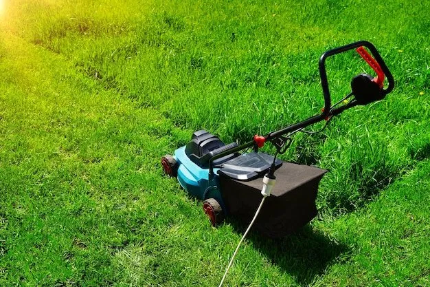 Affordable residential landscaping experts serving Farmington, UT - Wagstaff Lawn and Transport