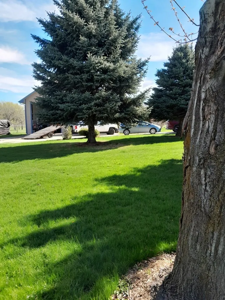 Reliable landscaping services for outdoor upgrades in Florence, MT by Wahls Landscaping Service