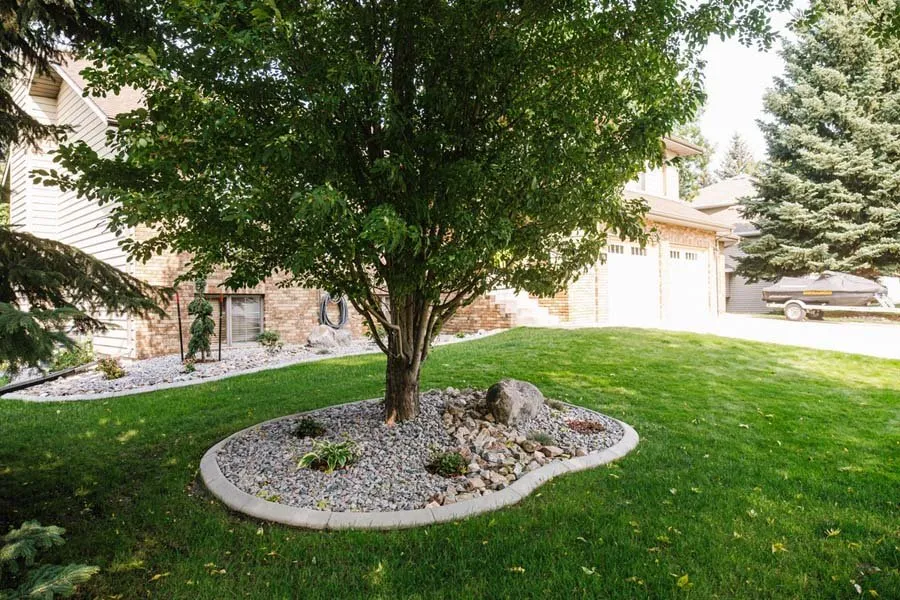 Affordable lawn mowing service in West Chester, OH by WAI Lawn And Landscape