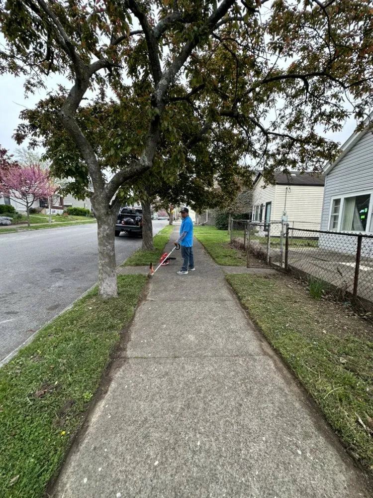 Top-rated lawn care service in Louisville, KY - Waiba Lawn Service