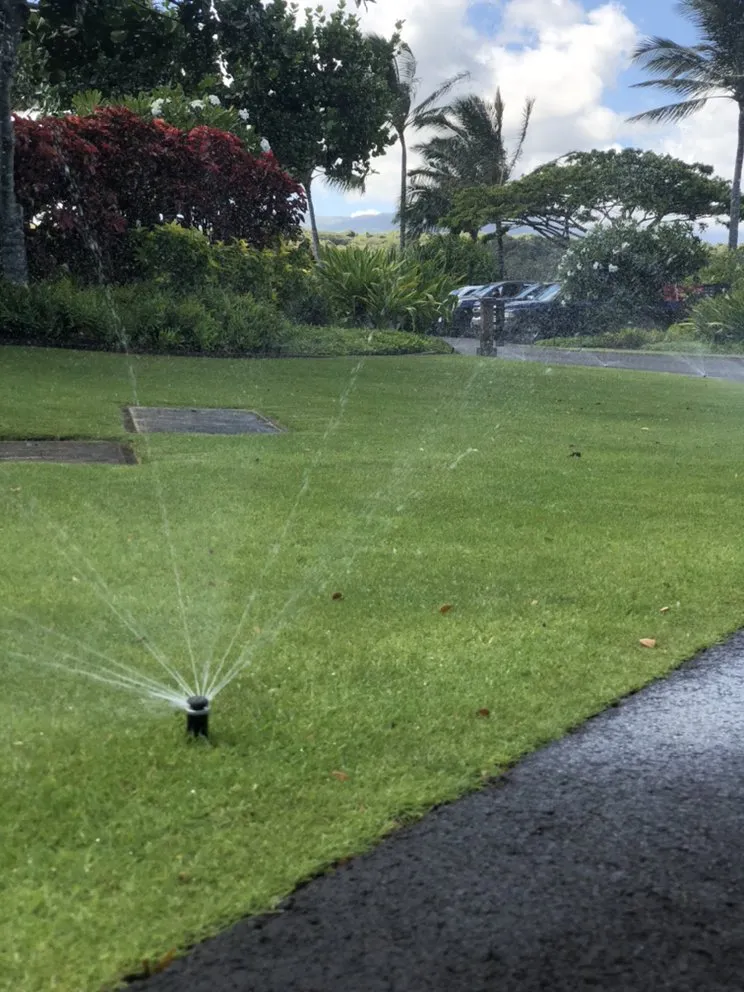 Professional outdoor landscaping for beautiful yards in Kapaʻa, HI by Wailua Landscapes & Property Maintenance