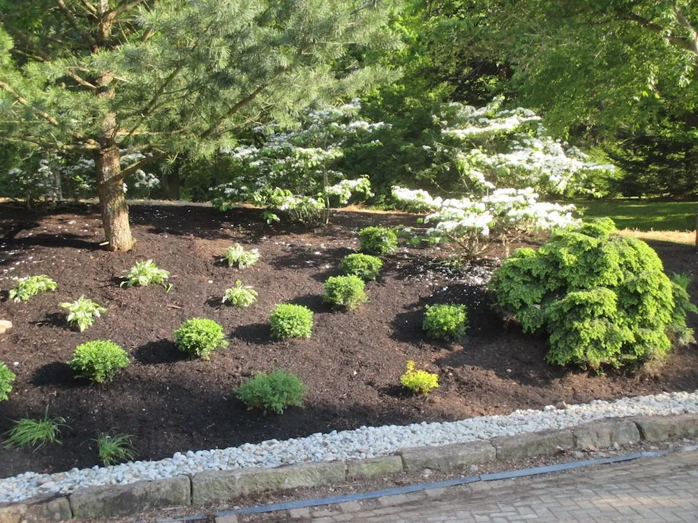 Top-rated landscaping services in Butler, PA by Wain Landscaping