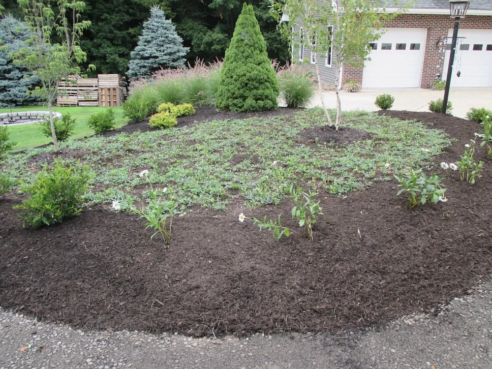 Trusted yard maintenance experts serving Butler, PA - Wain Landscaping