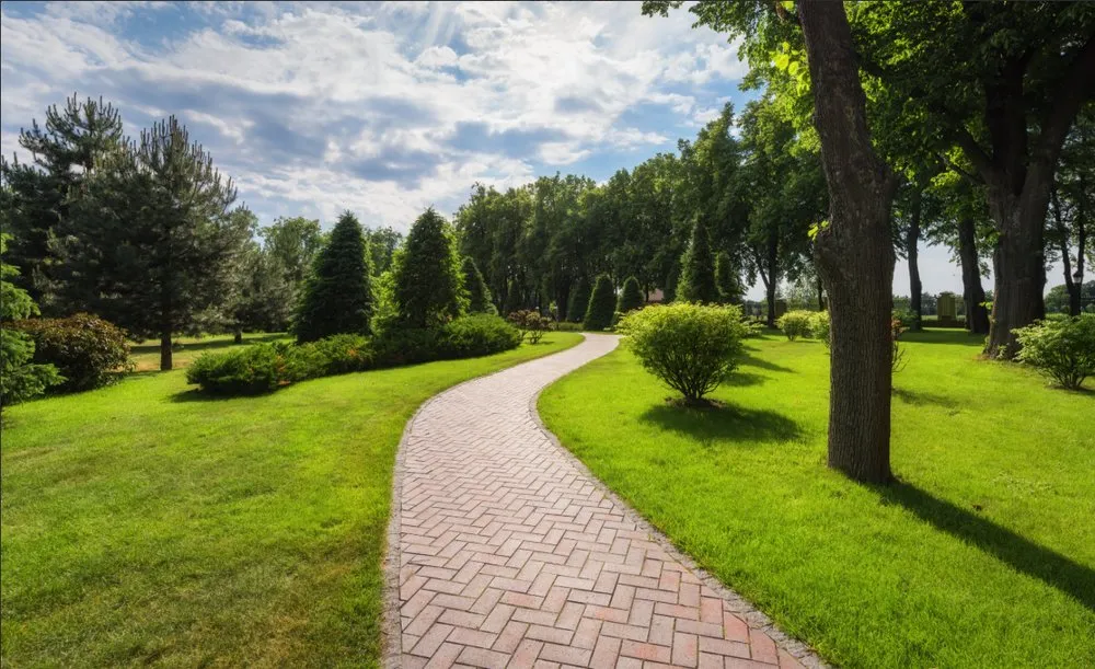 Expert lawn mowing service in Pulaski, NY - Waite Demolition And Landscaping