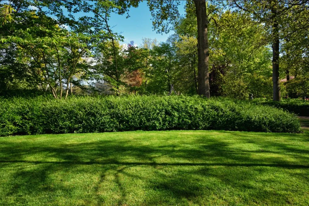 Top-rated yard maintenance for homes across Pulaski, NY - Waite Demolition And Landscaping