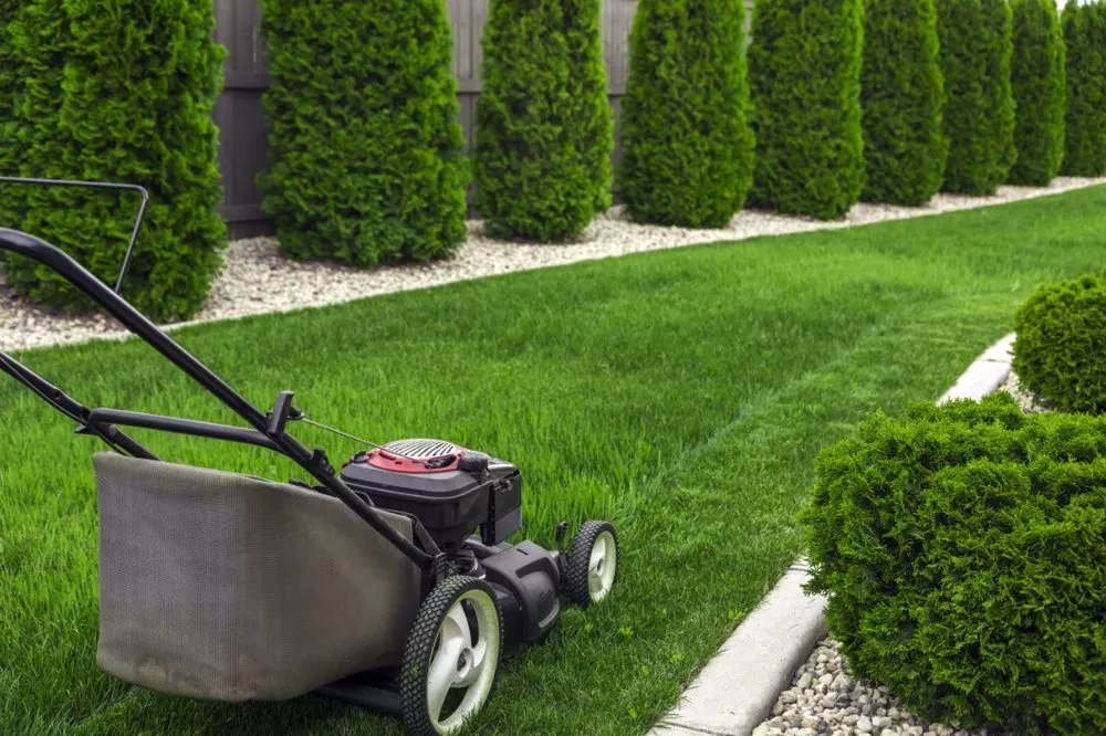 Trusted lawn care service in Pulaski, NY by Waite Demolition And Landscaping