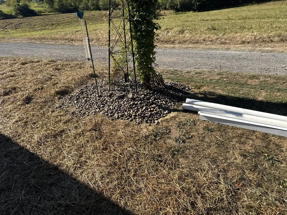 Custom yard maintenance for residential properties in Madera, PA by Waite’s
