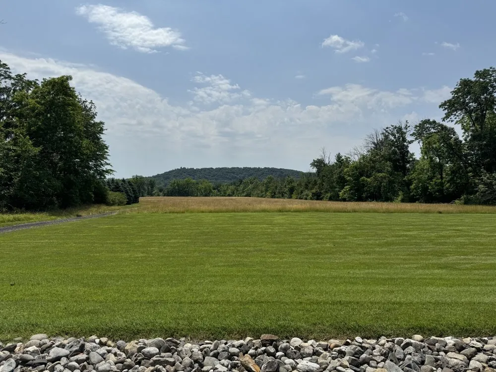 Professional landscaping services in Newtown, PA - Waitkus Design