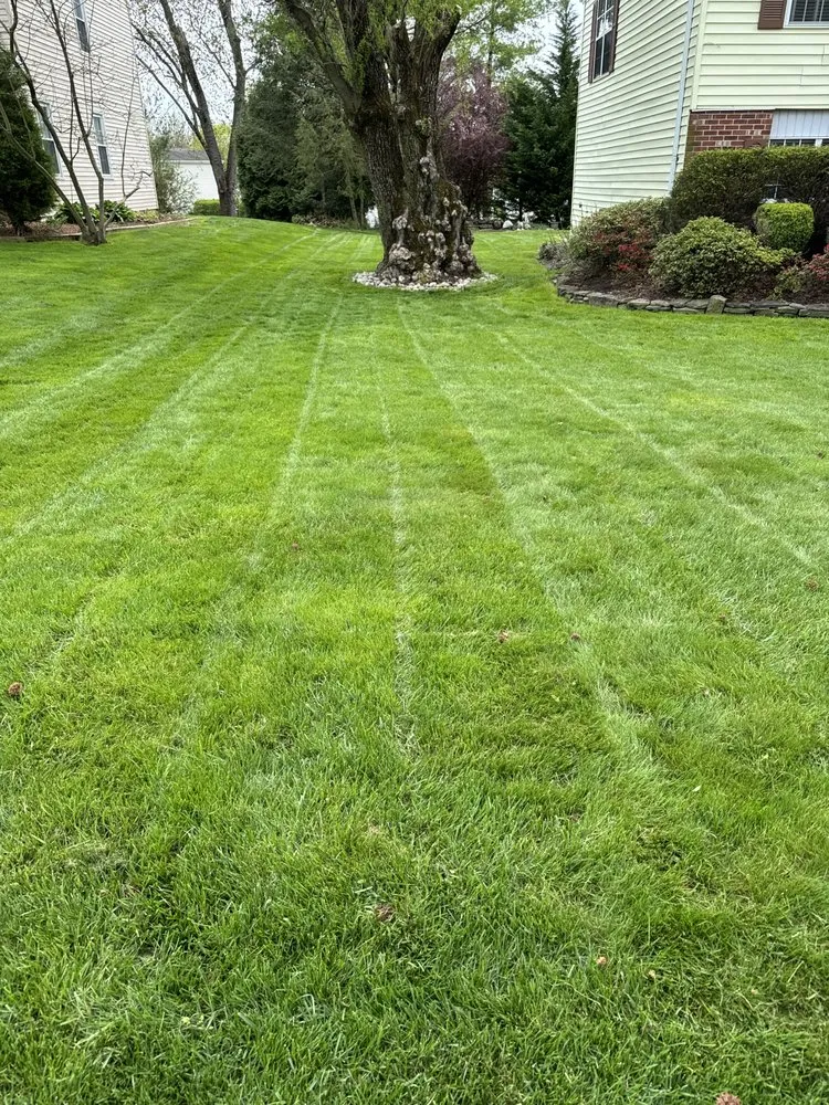 Local garden landscaping for outdoor upgrades across Newtown, PA - Waitkus Design