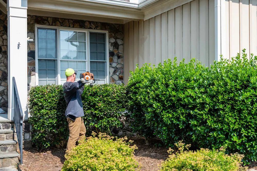 Affordable landscape design in Youngsville, NC - Wake Forest Lawn Service