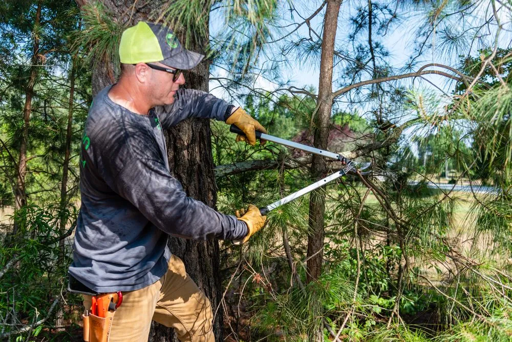 Affordable outdoor landscaping for residential properties across Youngsville, NC - Wake Forest Lawn Service