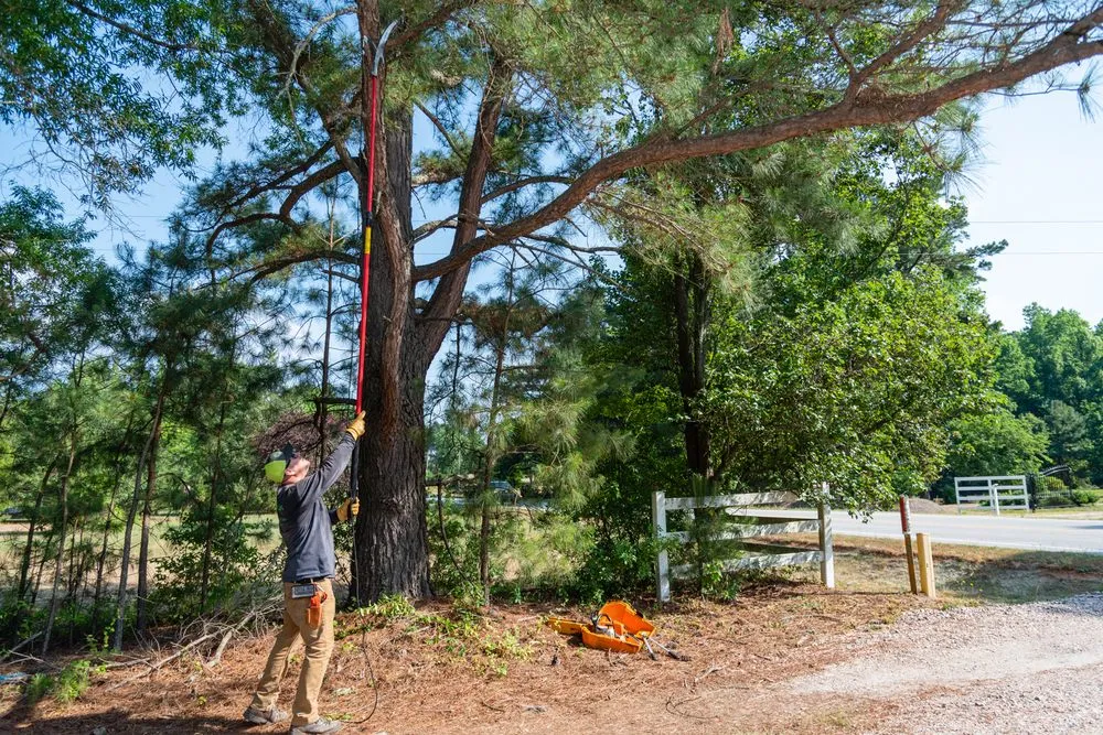 Custom lawn care service experts serving Youngsville, NC - Wake Forest Lawn Service