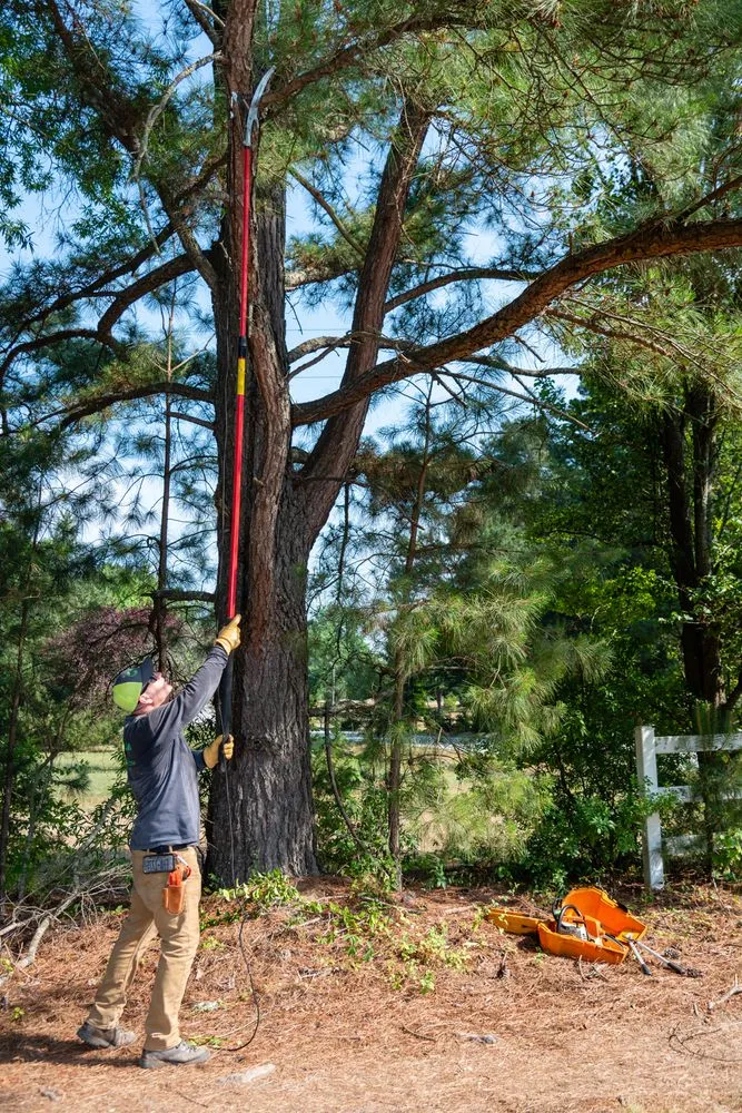 Professional yard maintenance for beautiful yards in Youngsville, NC by Wake Forest Lawn Service