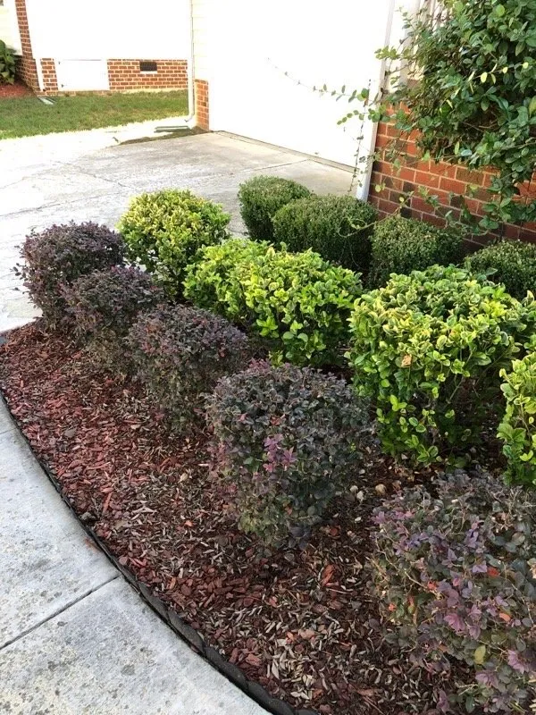Reliable yard maintenance in Youngsville, NC by Wake Forest Lawn Service