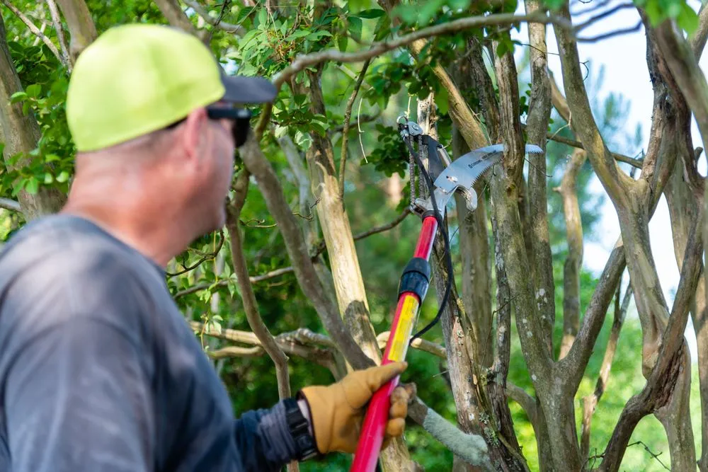 Custom landscaping services in Youngsville, NC - Wake Forest Lawn Service